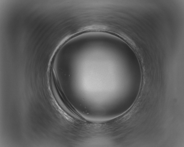 X0000054381248200507291109