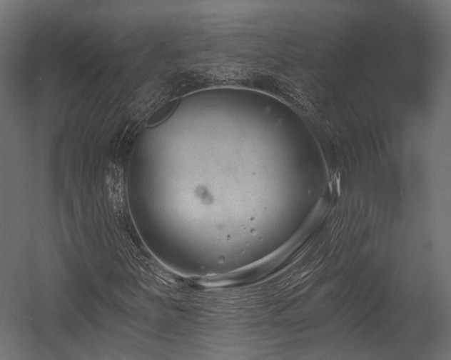 X0000054381251200507291108