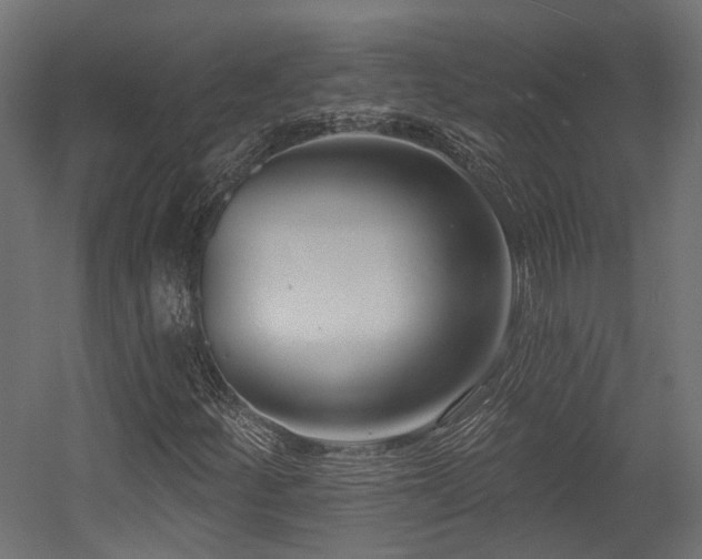 X0000054381252200507291108