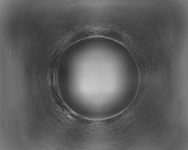 X0000054381253200507291108