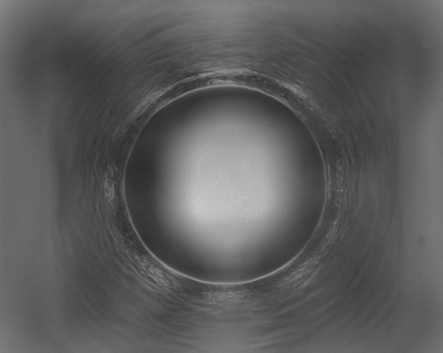 X0000054381257200507291108