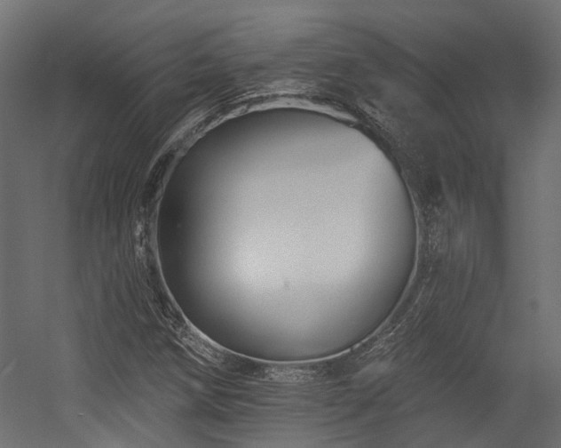 X0000054381258200507291108