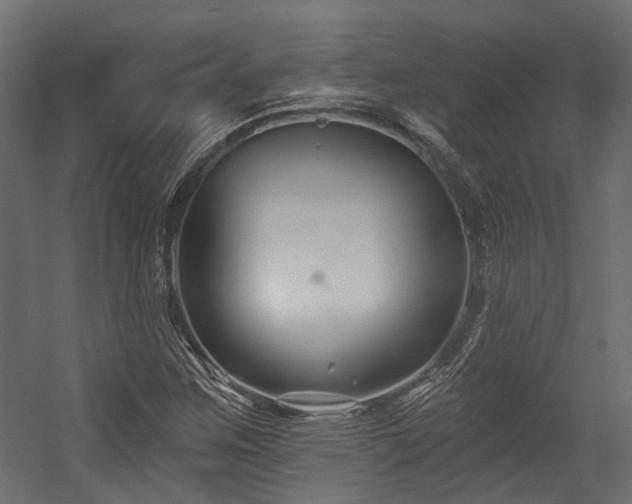 X0000054381259200507291108