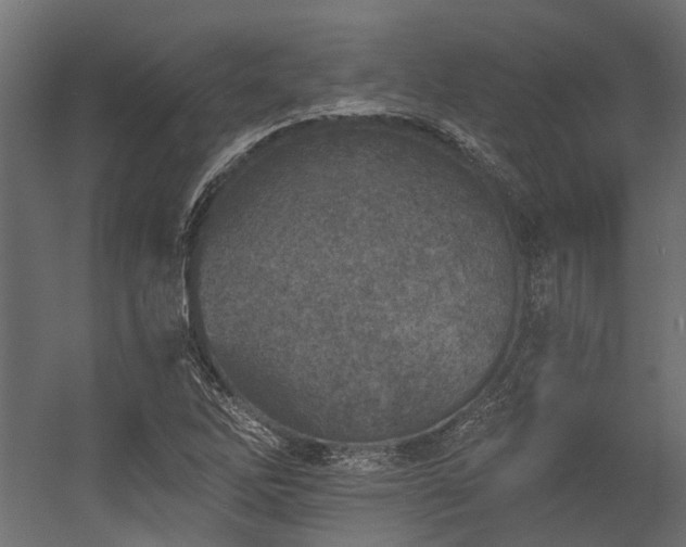 X0000054381262200507291108
