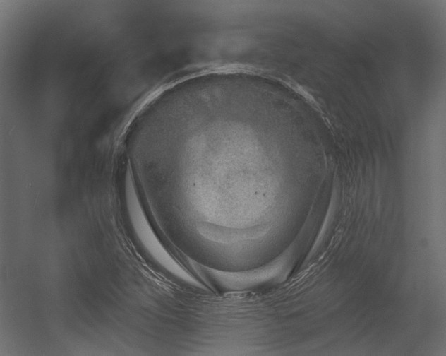 X0000054381263200507291108