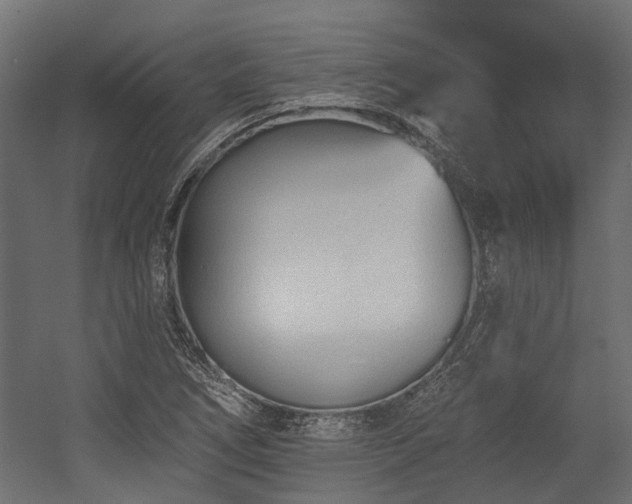 X0000054381266200507291108