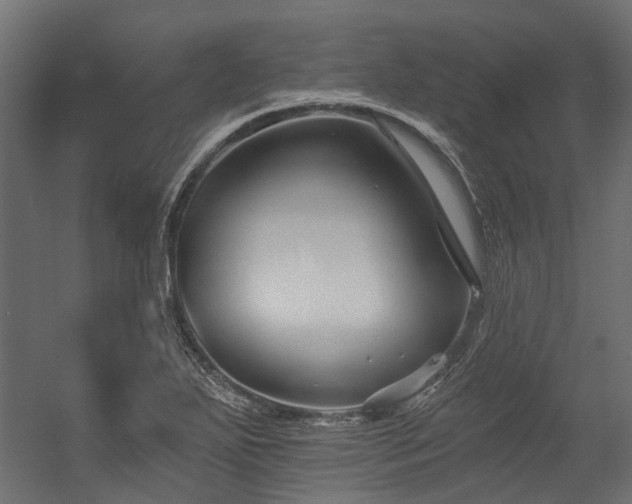 X0000054381271200507291108