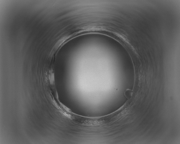 X0000054381273200507291108