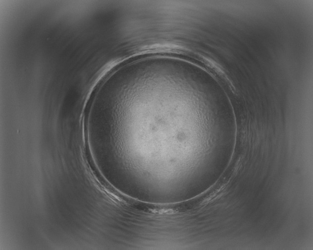 X0000054381275200507291108