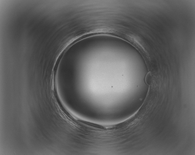 X0000054381276200507291108