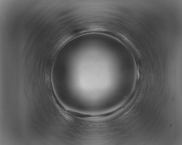 X0000054381281200507291108