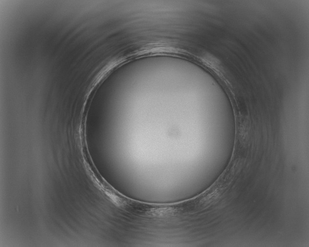 X0000054381282200507291108