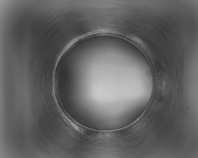 X0000054381286200507291108