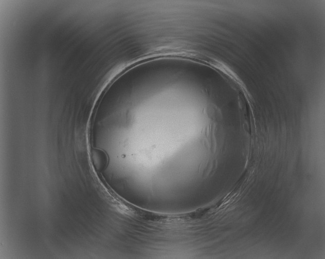 X0000054381291200507291107
