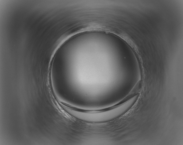 X0000054381296200507291107