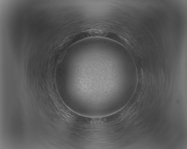 X0000054381297200507291107