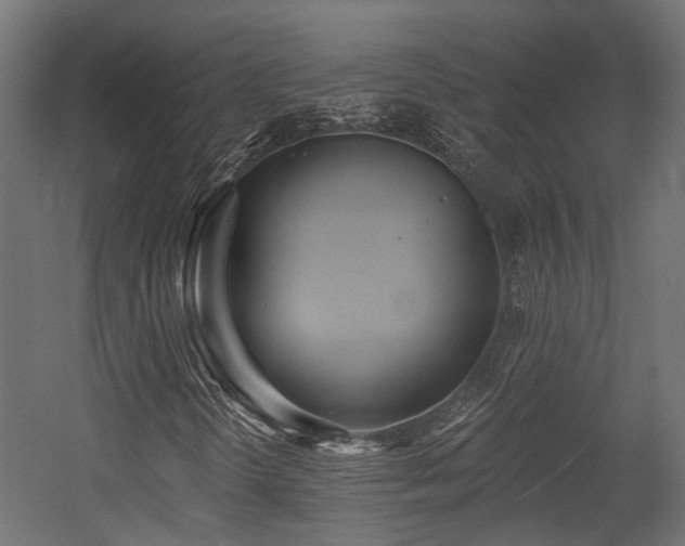 X0000054381298200507291107