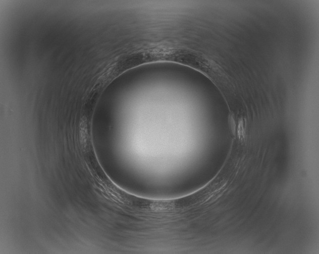 X0000054381299200507291107