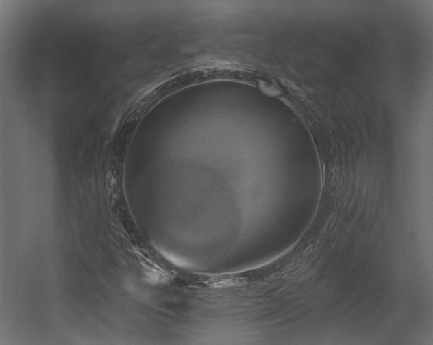 X0000054381303200507291107