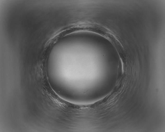 X0000054381304200507291107