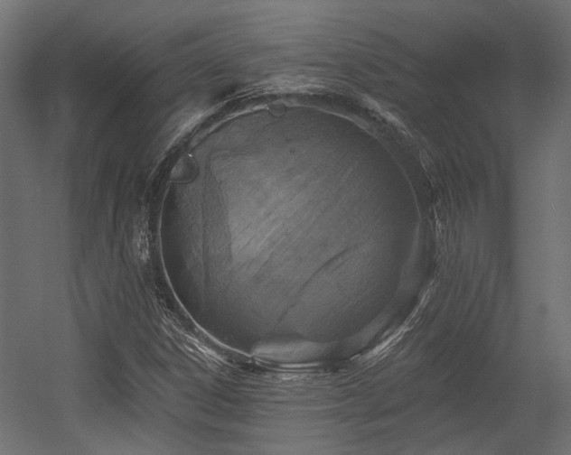 X0000054381306200507291107