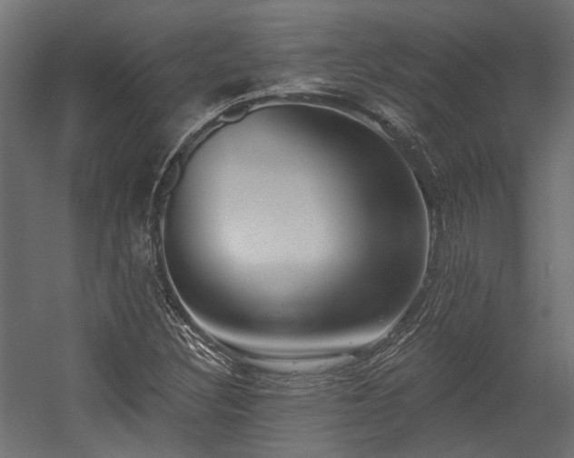 X0000054381308200507291107