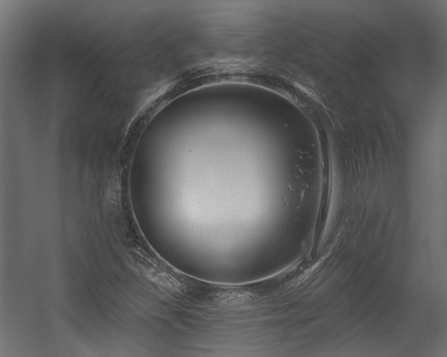 X0000054381309200507291107