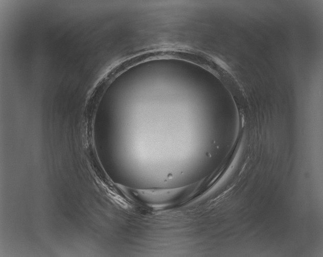 X0000054381310200507291107