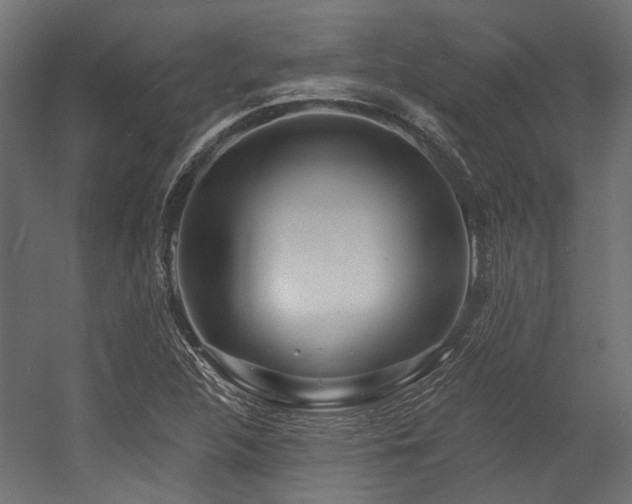 X0000054381312200507291107