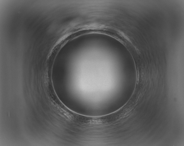 X0000054381315200507291107