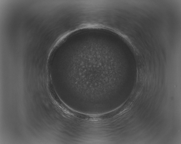 X0000054381319200507291107