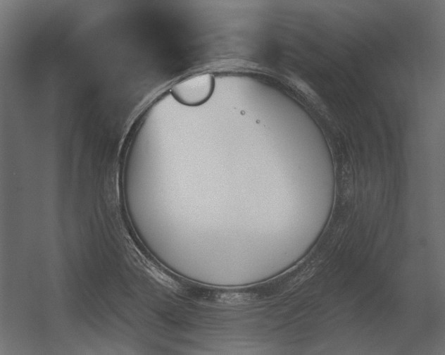 X0000054381322200507291107
