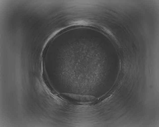 X0000054381323200507291107