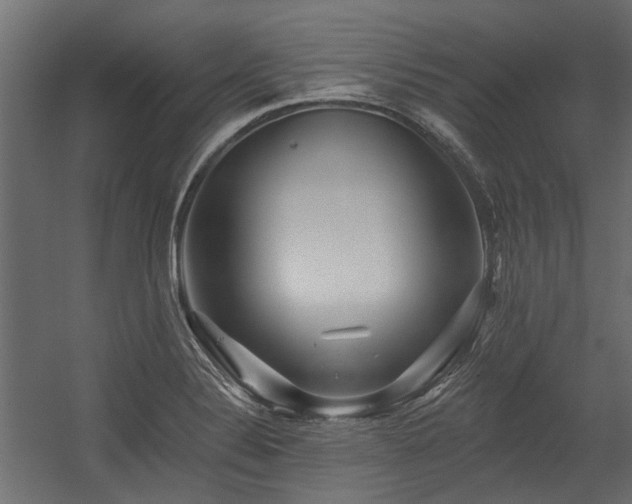 X0000054381324200507291107