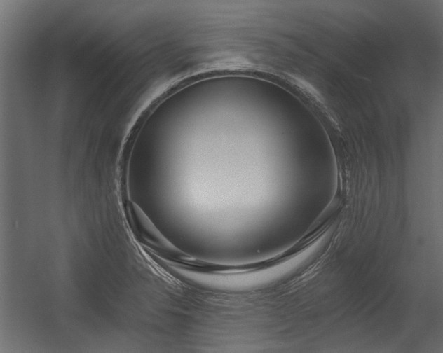 X0000054381326200507291107