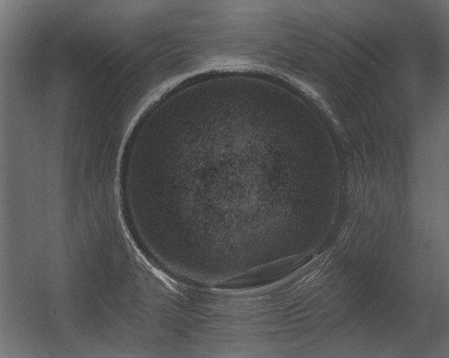 X0000054381327200507291107