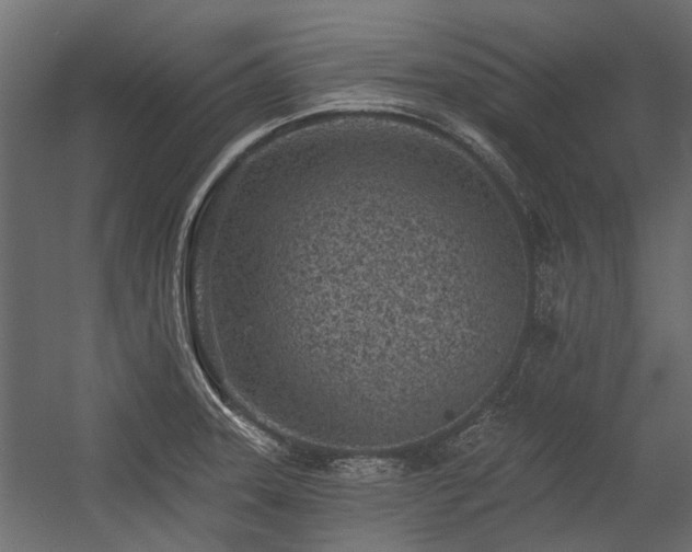 X0000054381331200507291107