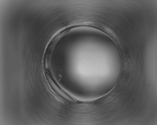 X0000054381332200507291107