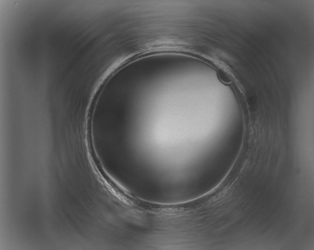 X0000054381333200507291107
