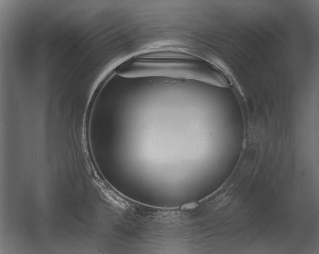 X0000054381336200507291107