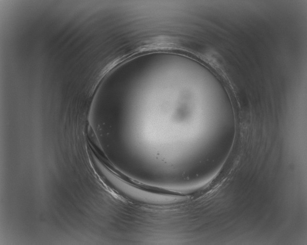 X0000054381337200507291107