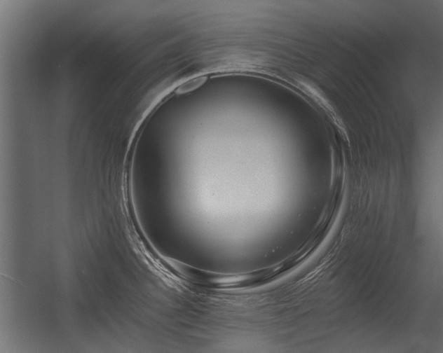 X0000054381340200507291107