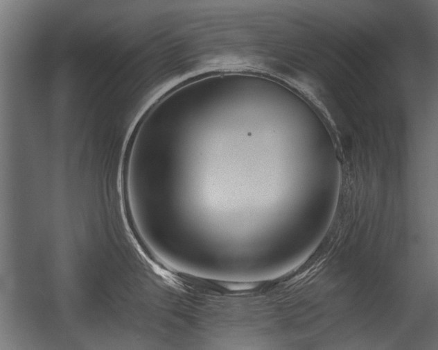 X0000054381343200507291107