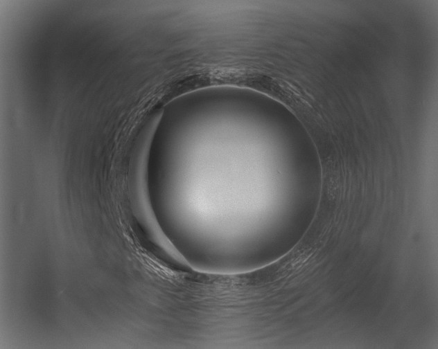 X0000054381345200507291107