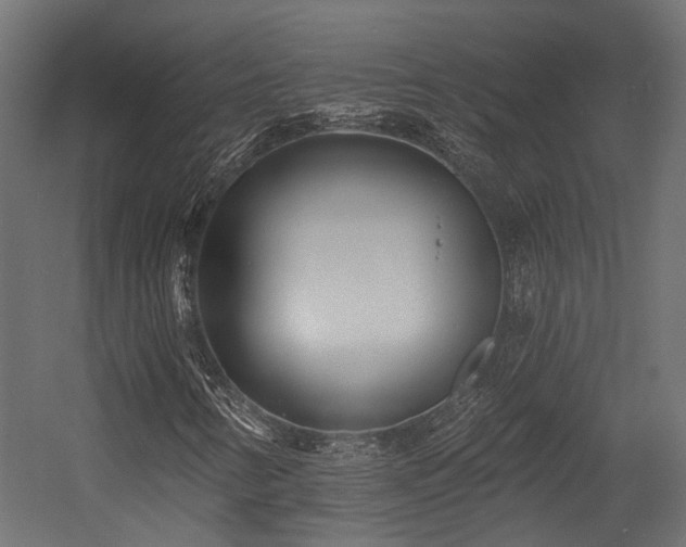 X0000054381346200507291106