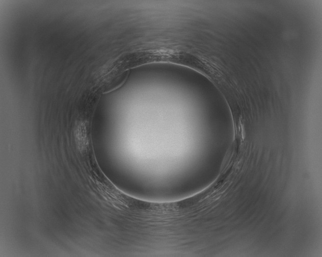 X0000054381347200507291106