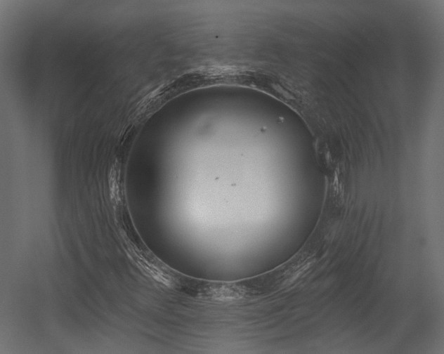 X0000054381348200507291106