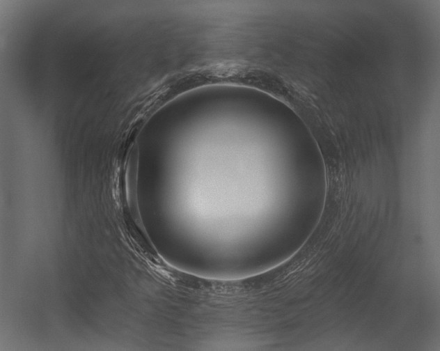 X0000054381349200507291106