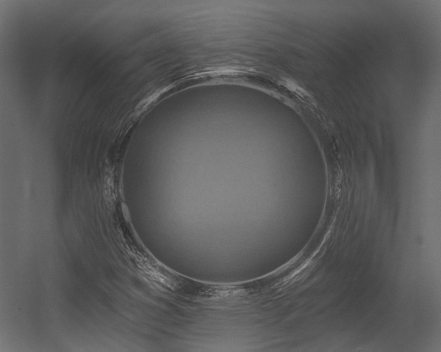 X0000054381353200507291106