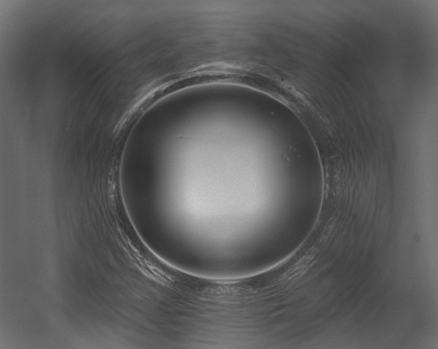 X0000054381355200507291106